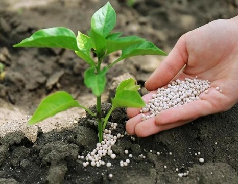 化肥淡季商业储备台账管理系统